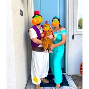 Adult Princess jasmine costume